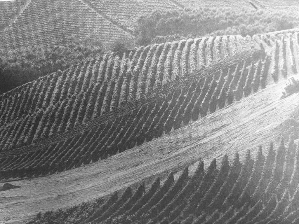 Vila Sangrato 1883 Monteu Roero Exteriér fotografie